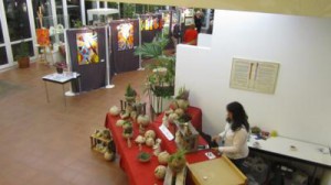 Ausstellung 2012 (47)